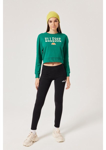 Kadın Sweatshirt F017-DGR fiyatları