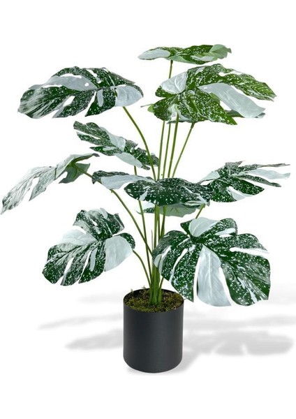 Yapay Çiçek Saksıda Monstera Yeşil Beyaz Deve Tabanı 12DAL 70CM Salon Çiçeği Yapay Bitki