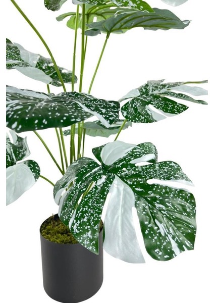 Yapay Çiçek Saksıda Monstera Yeşil Beyaz Deve Tabanı 12DAL 70CM Salon Çiçeği Yapay Bitki