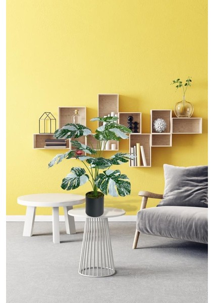 Yapay Çiçek Saksıda Monstera Yeşil Beyaz Deve Tabanı 12DAL 70CM Salon Çiçeği Yapay Bitki