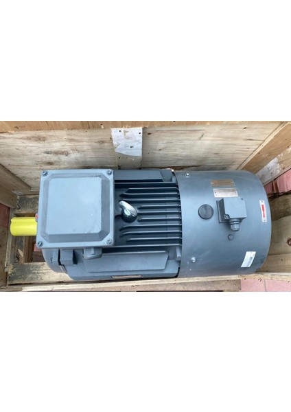 3 Faz 30KW 1475RPM 4 Kutup Elektrik Motoru 0CV3204B 1TL0003-2AB43-4AA4-Z modelleri
