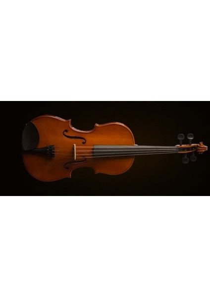 Valencıa VA16041 Viola Kutulu 16&quot; (40,64CM)