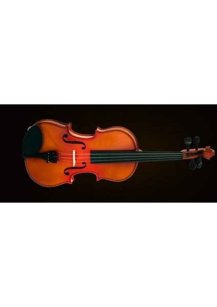 Valencıa VA400 Viola Kutulu 15.5&quot; (39,37CM)