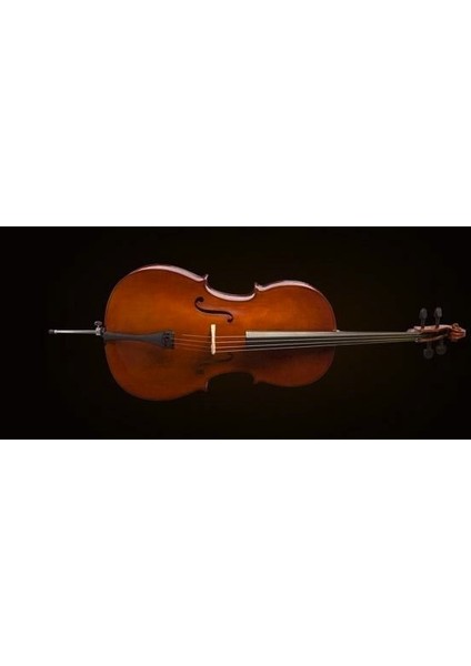 Valencıa CE160F44 Cello 4/4 Scale +Kılıf+Yay, Karartılmış Akçaağaç B