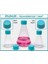 027.18.500 Erlen Petg 500 ml Filtre Kapaklı 12 Adet 1
