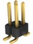 2 Pin 2x2 Pin 6.6mm Uzunluk 2mm Erkek Header Altın Kaplama Smt Tipi - 10 Adet 1