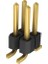 2 Pin 2x2 Pin 6.6mm Uzunluk 2mm Erkek Header Altın Kaplama Smt Tipi - 10 Adet 2