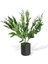 Yapay Çiçek Zeytin Dalı 50CM Metal Siyah Saksıda 2