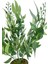 Yapay Çiçek Zeytin Dalı 50CM Metal Siyah Saksıda 5