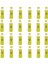 Limonata Pet 24 x 250 ml 1