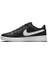 Court Royale 2 DH3159-001 Spor Ayakkabı 1