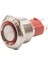 19D-P1Z-E 19MM Düz Anahtarlı Işıklı Metal Buton - Kırmızı 1