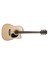 Müzik Cort AD880CENSW Elektro Akustik Gitar, Kılıflı, Naturel Satin, Lad 1