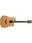 Müzik Ibanez AW3050CE-LG Elektro Akustik Gitar Cutaway :ıbanez Çin 1