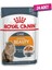 Intense Beauty Jelly Pouch Kedi Maması 85 gr - 24 Adet 1
