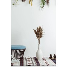 Alyones Natural 10 Adet Pampas Çiçek Dekor