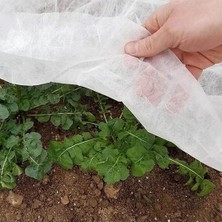 Sera Trend 1,2x5 Metre 30GR Agril Isı Don Örtüsü, Zirai Don Kırağı Örtü Karpuz Çilek Örtüsü, Sera Toprak Örtüsü Elyaf  Örtüsü