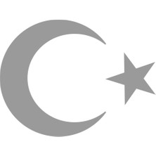 Lizpo Decor Türk Bayrağı, Ay Yıldız Araba Oto Sticker Gri 50X37,5 cm