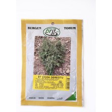 Burgen Tohum Bt Çiçek Dereotu Tohumu (10 Gr)
