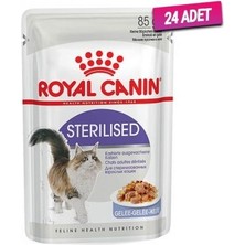 Royal Canin 24 Adet Sterilised Jelly Pouch Kedi Maması 85 gr