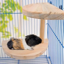 Alyones Sincap Gerbil Cüce Ahşap Platform, 2 Seviyeli Doğal Hamster Ayakta Platform