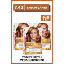L'Oréal Paris Excellence  Intense 7.43 Tarçın Bakırı Saç Boyası 3'lü Set