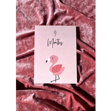 The Istanbul Event Bebek Yenidoğan Anı Fotoğraf Kartları 12 Ay - Baby Milestone Cards - Bebek Ay Kartları