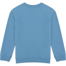 U.S. Polo Assn. Erkek Çocuk Mavi Sweatshirt 50253387-VR036