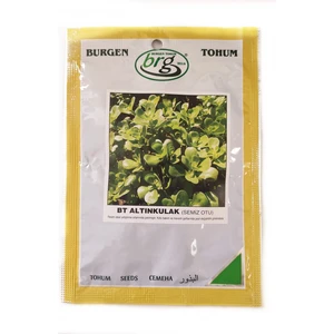 Burgen Tohum Bt Altınkulak Semizotu Tohumu 10 Gr