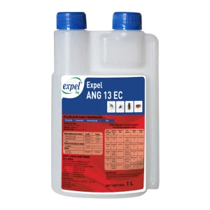 Ang 13 Ec 1 Lt