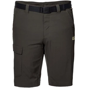 Jack Wolfskin Hoggar Erkek Şort - 1503781-5043