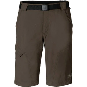 Jack Wolfskin Hoggar Erkek Şort - 1503781-5129
