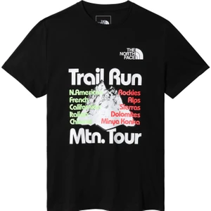 The North Face Foundation Graphic Tee Erkek T-Shirt - NF0A55EFAGS