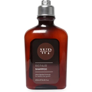 Whisper Pro Repair Yıpranmış Saçlar Için Onarıcı Şampuan 250 Ml