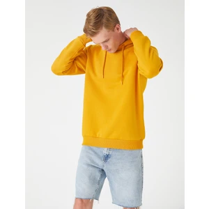 Basic Kapşonlu Sweatshirt