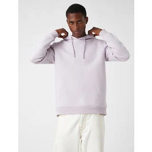 Basic Kapşonlu Sweatshirt