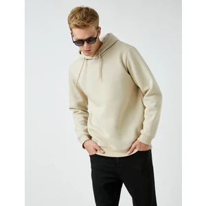 Basic Kapşonlu Sweatshirt