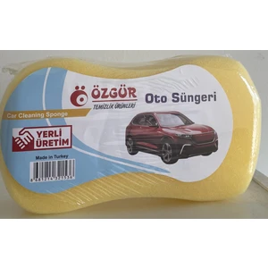 Oto Süngeri