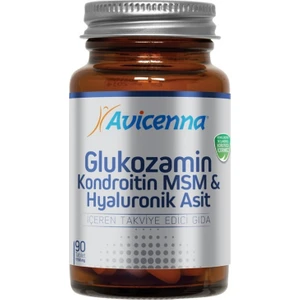 Glucosamine Chon+MSM