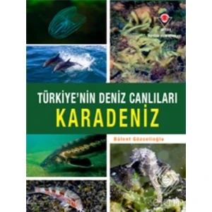Karadeniz Türkiye'nin Deniz Canlıları