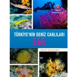Ege Türkiye'nin Deniz Canlıları