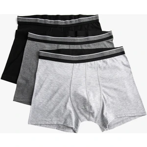 3'lü Basic Boxer Seti