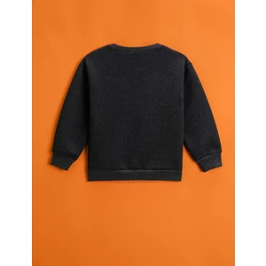 Baskılı Sweatshirt Bisiklet Yaka Uzun Kollu