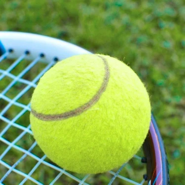 Leyaton 1 Adet Sarı Tenis Topu Antrenman Tenis