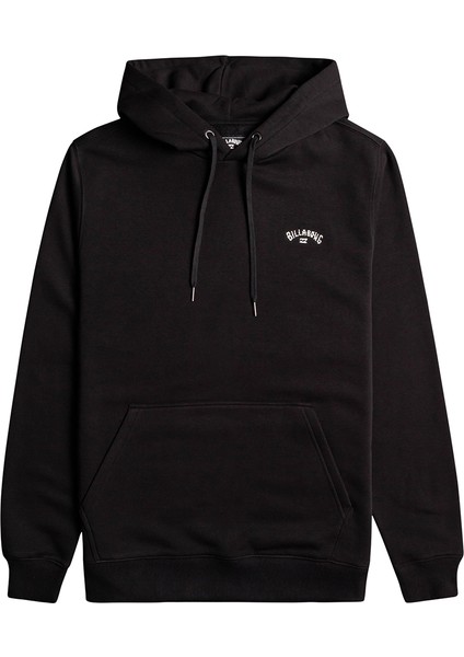 Arch Po Erkek Sweatshirt F1FL11