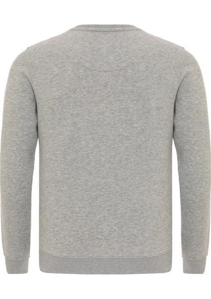 Huge Gri Erkek Sweatshirt RFHUGE2223-23394