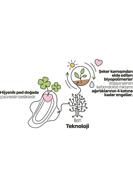 Ecologic Premium Plus Hijyenik Ped Normal 24 Adet Ped