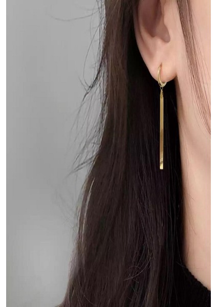 Kadın Yüksek Kalite Çelik Italyan Zincir Küpe fiyatları