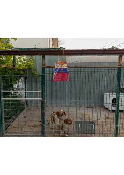 Xl Poşet Karasinek Tuzağı