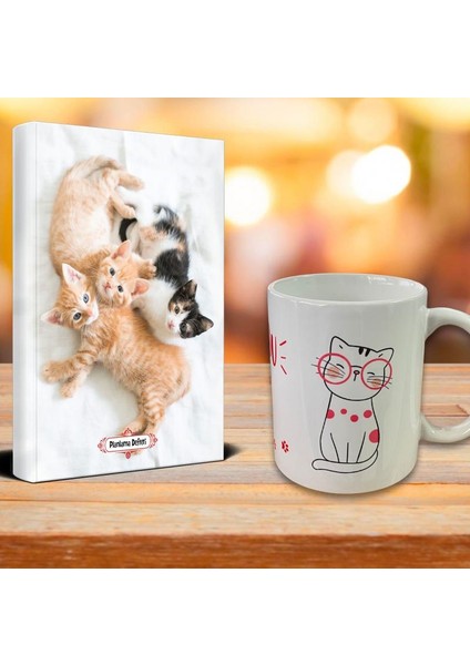 Oyuncu Kedi Ajanda Sevimli Kedi Kupa Seti